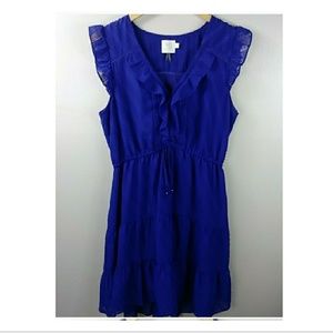 Anthropologie HD in Paris dress size 12 purple